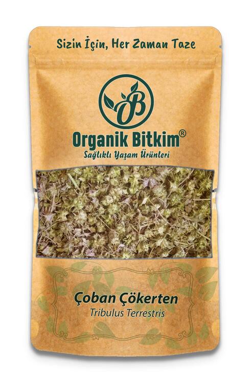 Organik Bitkim Çoban Çökerten (Tribulus) 100 gr